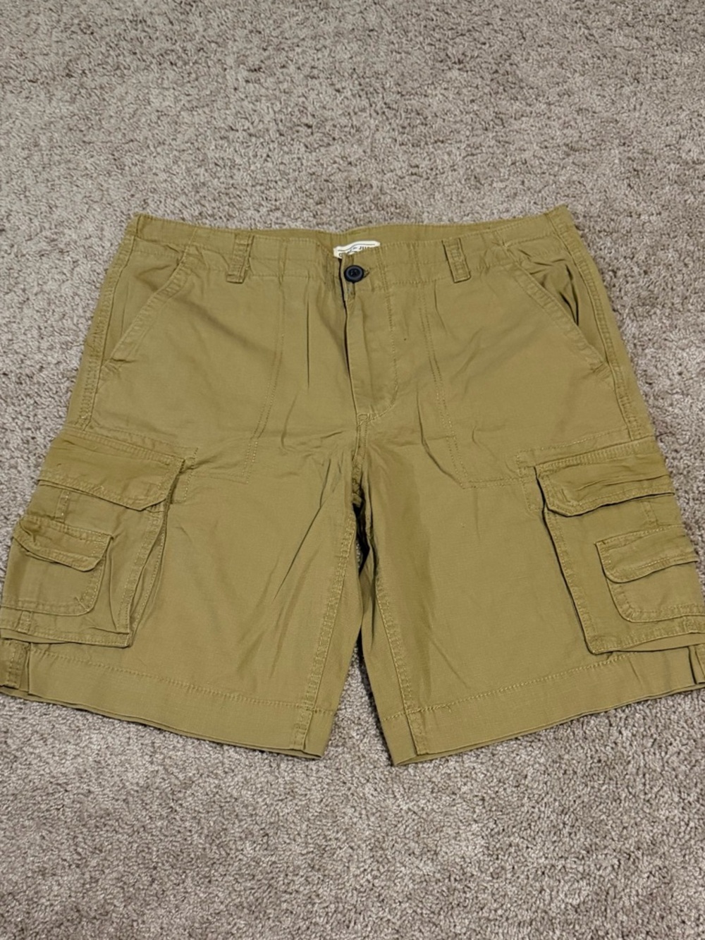 Cape Juby Men's Cargo Shorts in Olive Green